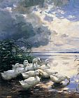 Alexander Koester Ducks in the Morning painting